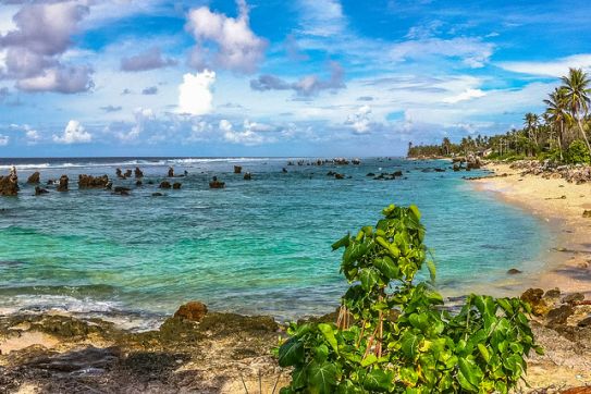 CẨM NANG DU LỊCH NAURU