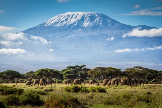 CẨM NANG DU LỊCH TANZANIA 