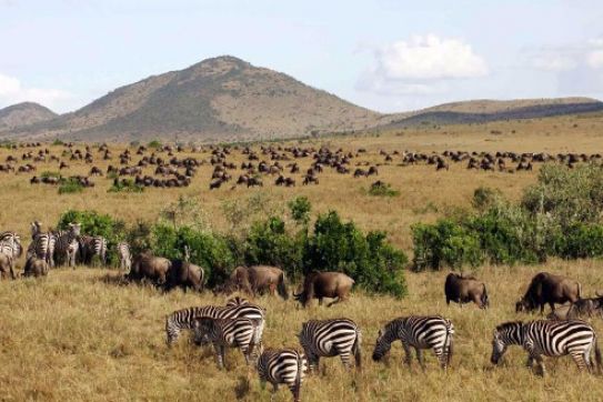 CẨM NANG DU LỊCH KENYA